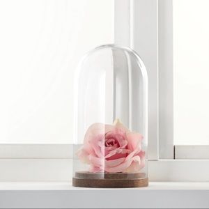IKEA Home Decor Glass Dome with Wood Base Display